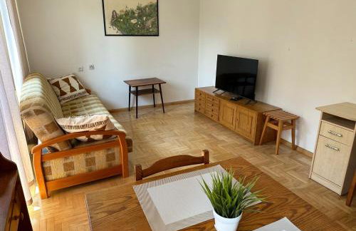 Przestronny apartament w centrum miasta - Mszana M11 - Photo 2