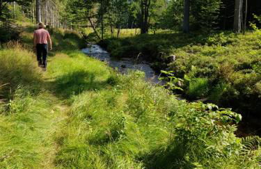 Apartments bei Familie Liebl - Foto 6