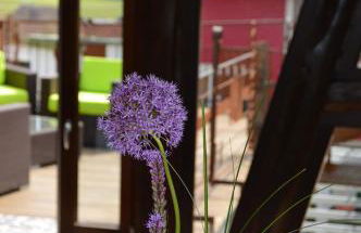 Ferienwohnungen Treiber in Eggenstein-Leopoldshafen - Nähe KIT Campus Nord und Karlsruhe - Foto 6