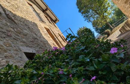 Mas El Carrer - Photo 70