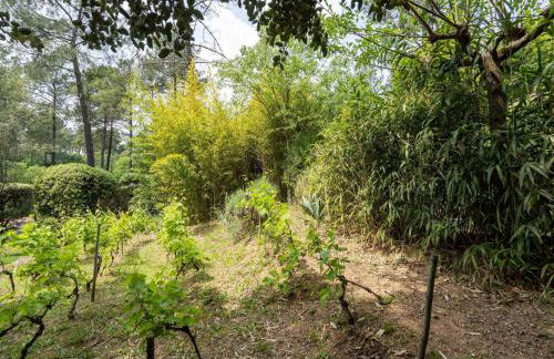 Family Escape in Les Salelles - Foto 34