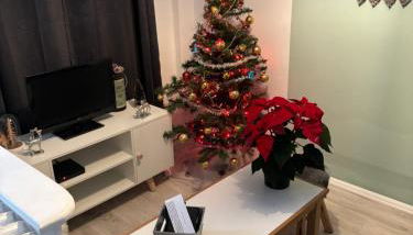 Le solognot - Foto 2