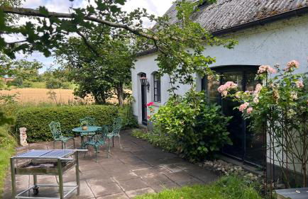 Ferienhaus Villa Vogelsang (Schlei / Ostsee) - Foto 25