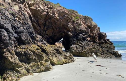 Kinnoull House near Stornoway Hot-Tub Sauna Pet Friendly - Photo 56