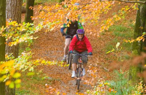 Trillow House, Clungunford, Ludlow - Foto 47