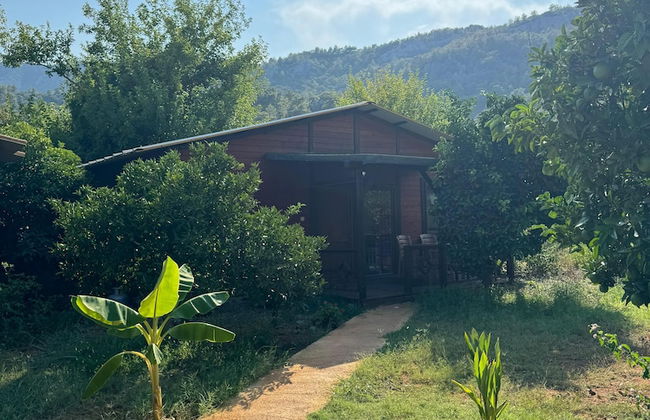 Cıralı Anka Apart Bungalov - Foto 4