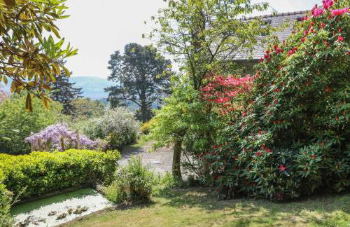 Ty'n y Cae - Foto 56