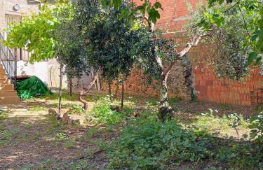 Vivienda rural Los Iberos M&M, - Foto 14