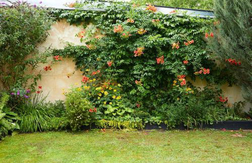 Guesthouse with 3 apartments, just outside Berlin, near to Tesla - Foto 63