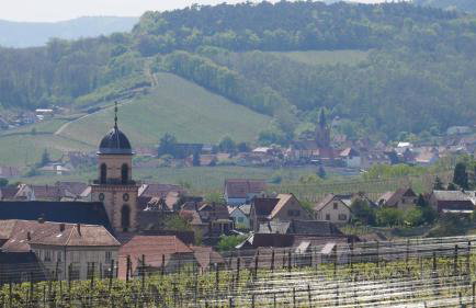 La Cour St-Fulrad - Appartements - Foto 31