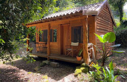 Associação Quinta das Relvas - Foto 13