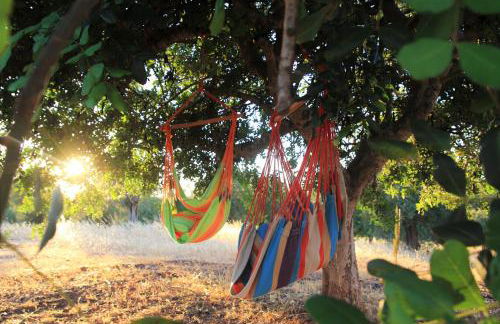 Espargosa Monte de Baixo & Art - Photo 29