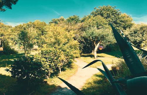 Quinta das Almas - Photo 15