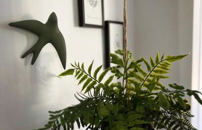 La Maison des Curieux - Foto 18