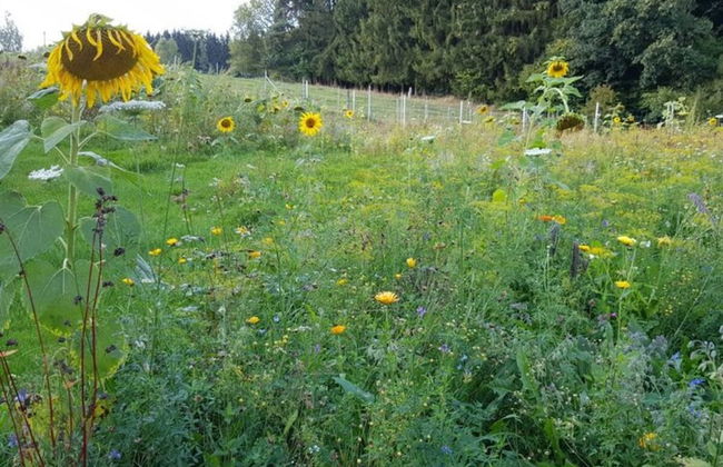 Holiday Apartment Waidlersuite - Photo 16