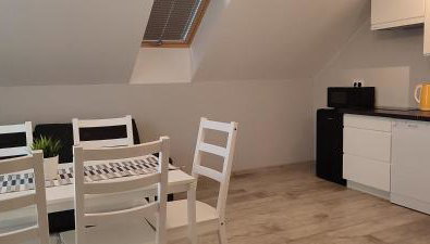 Apartamenty Wilga - spokojne miejsce z całorocznym zewnętrznym wspólnym jacuzzi, sauną i letnim basenem - Foto 3