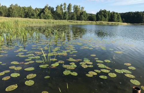 Dom Natura - Foto 26