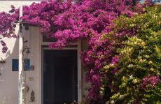 La collina sui trabocchi - Foto 6
