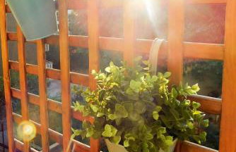 Brand New Studio 3 - Foto 35