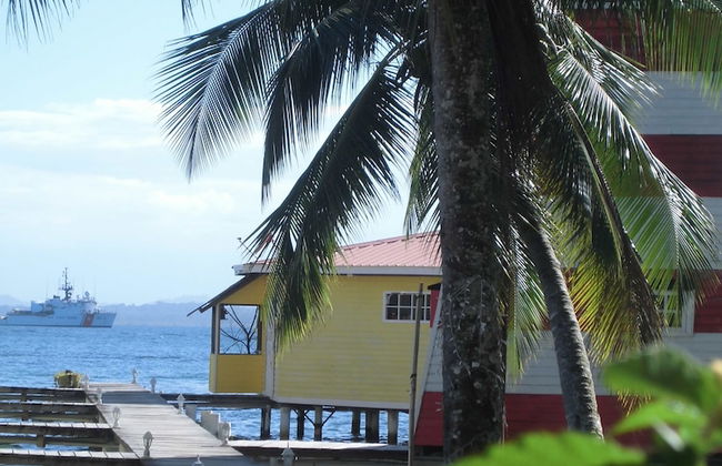 Kevin Condos - Foto 36