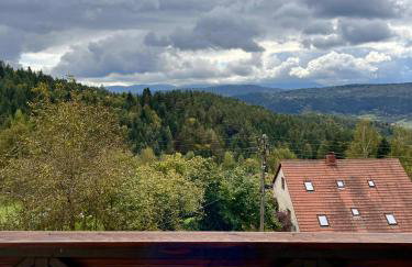 Klimatyczny dom z widokiem na Babią - kominek i ogrodzenie - Foto 39