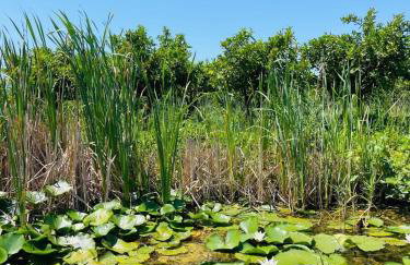 Studio Calma - Foto 33