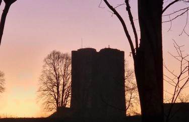 Gite de Guise, animaux bienvenus - Foto 10