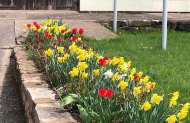 Casa „Ella“ - Photo 4