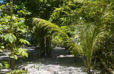 REFUGIO DO SAGRADO MORERE Tropical Lodge - A Casa do Vigía - Foto 60