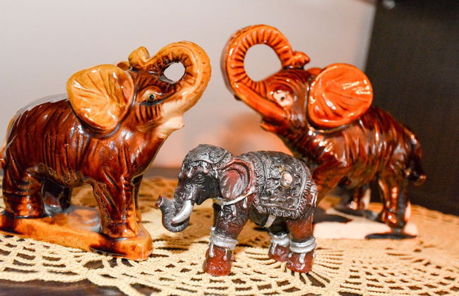 Apartments Marinero - Foto 14