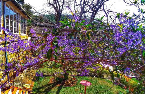 Residencial Flor- Hilda - Foto 19