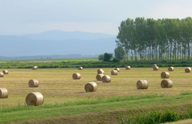 Sunlit Home With Pool - Foto 40