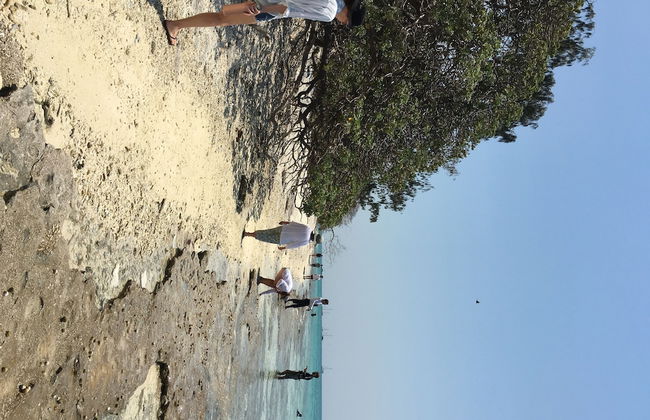 Sunbird Gardens - Foto 21