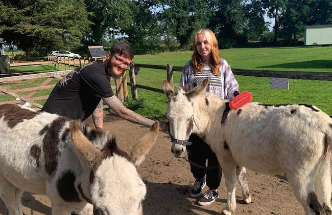 Starry Meadow - Foto 26