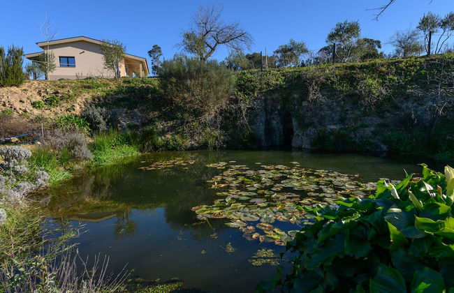 Laje da Bica Agroturismo - Foto 55