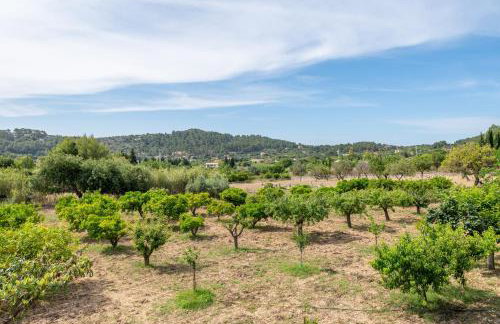 Son Sant Joan - Photo 8