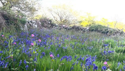 Tresahor Studio with sauna - Foto 3