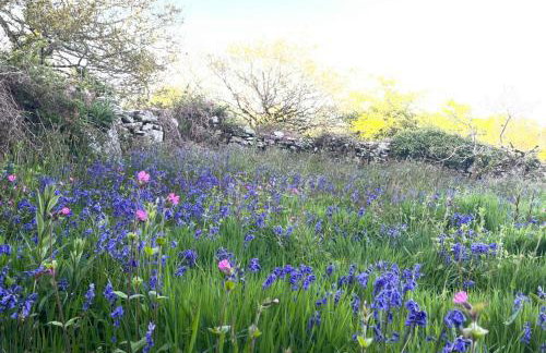 Tresahor Studio with sauna - Foto 3