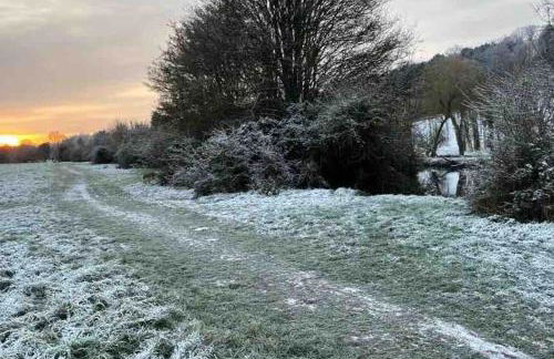 Linden Suite - Foto 27