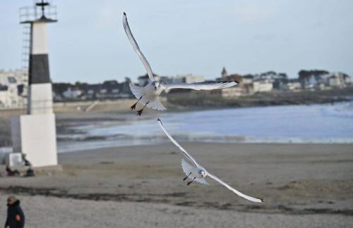 L'Auberge Du Roch - Foto 53