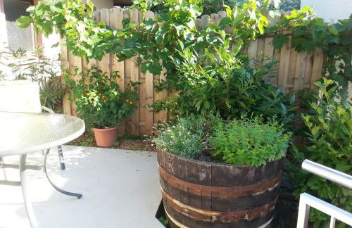 Ferienwohnung Weingut Ackermann - Foto 21