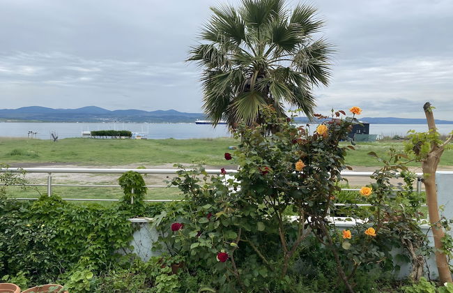 Hero Gallipoli Otel - Foto 28