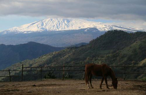 Agriturismo San Cataldo Farm Home - Foto 102