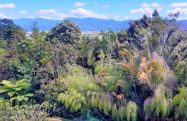 Farrants Hill - Foto 31