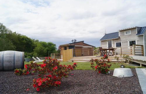 Bain Nordique SPA - Tiny house à la campagne - Photo 1