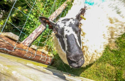 1 Bed in Llannefydd oc-p32089 - Foto 25