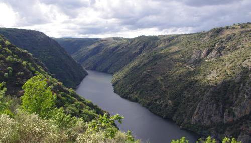 Casa Rural El Olivo / El Almendro - Foto 2