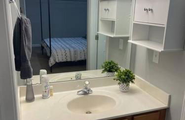 Simple Elegant Townhouse DT Raleigh NCSU - Foto 33