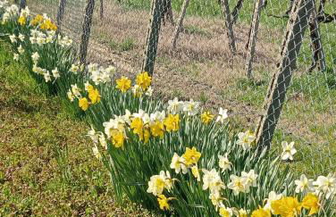 NiFe Tiny House - Secret Garden - Photo 55