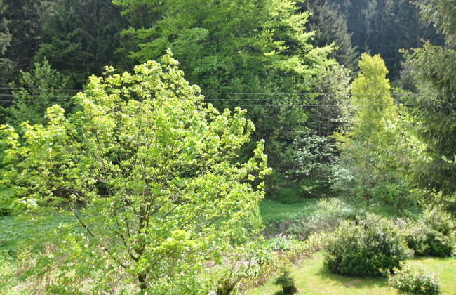 Cozy Apartment Near Trails - Foto 30